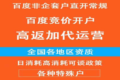 短视频平台上的信息流广告投放效果分析